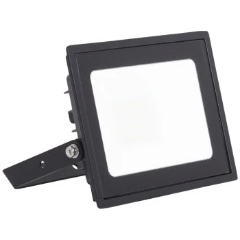 Ansell Lighting AEDELED20/CW Eden 20W 4000K Black LED Floodlight