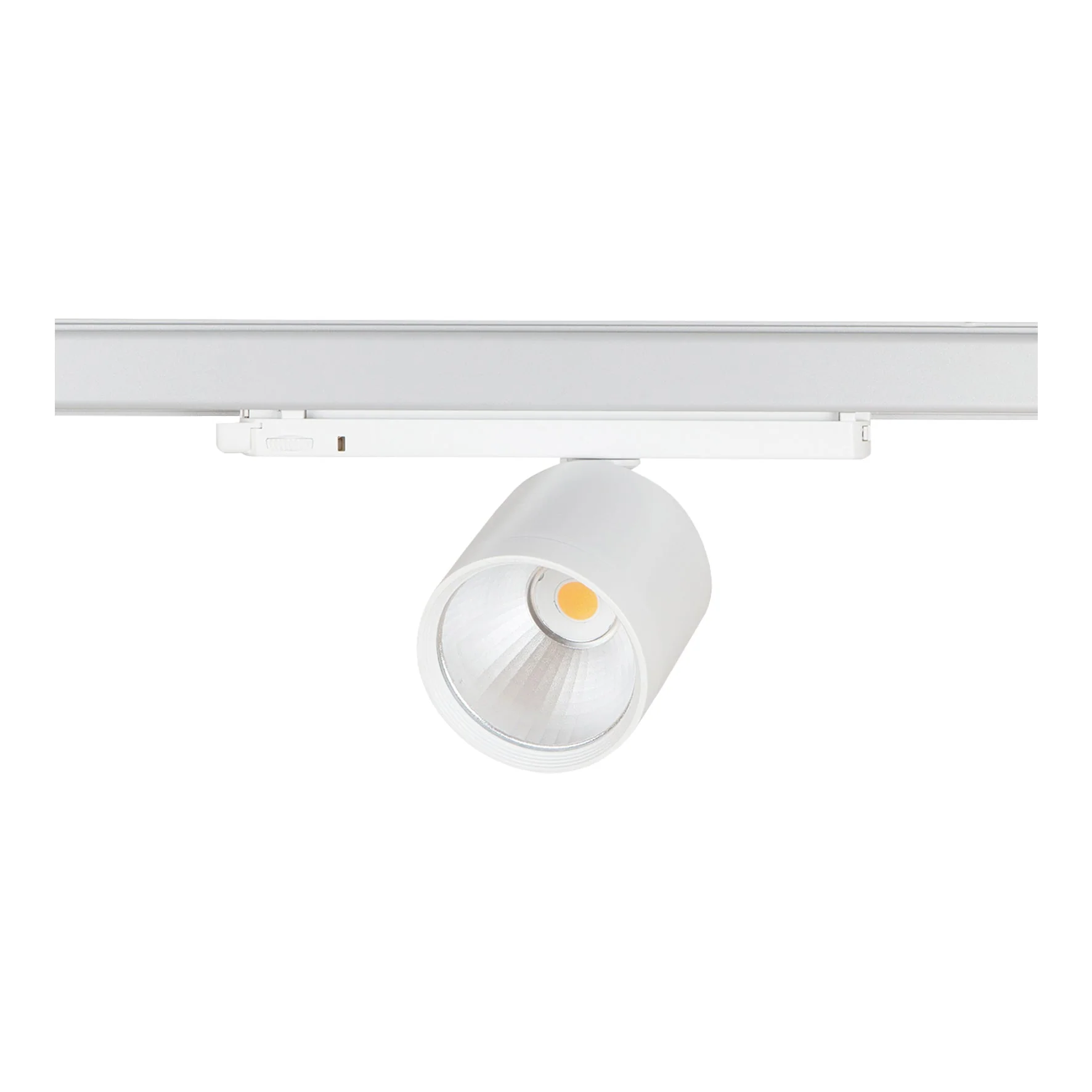 Bailey 142127 - Lival GA-016 Standard 34W/930 30D Flood White