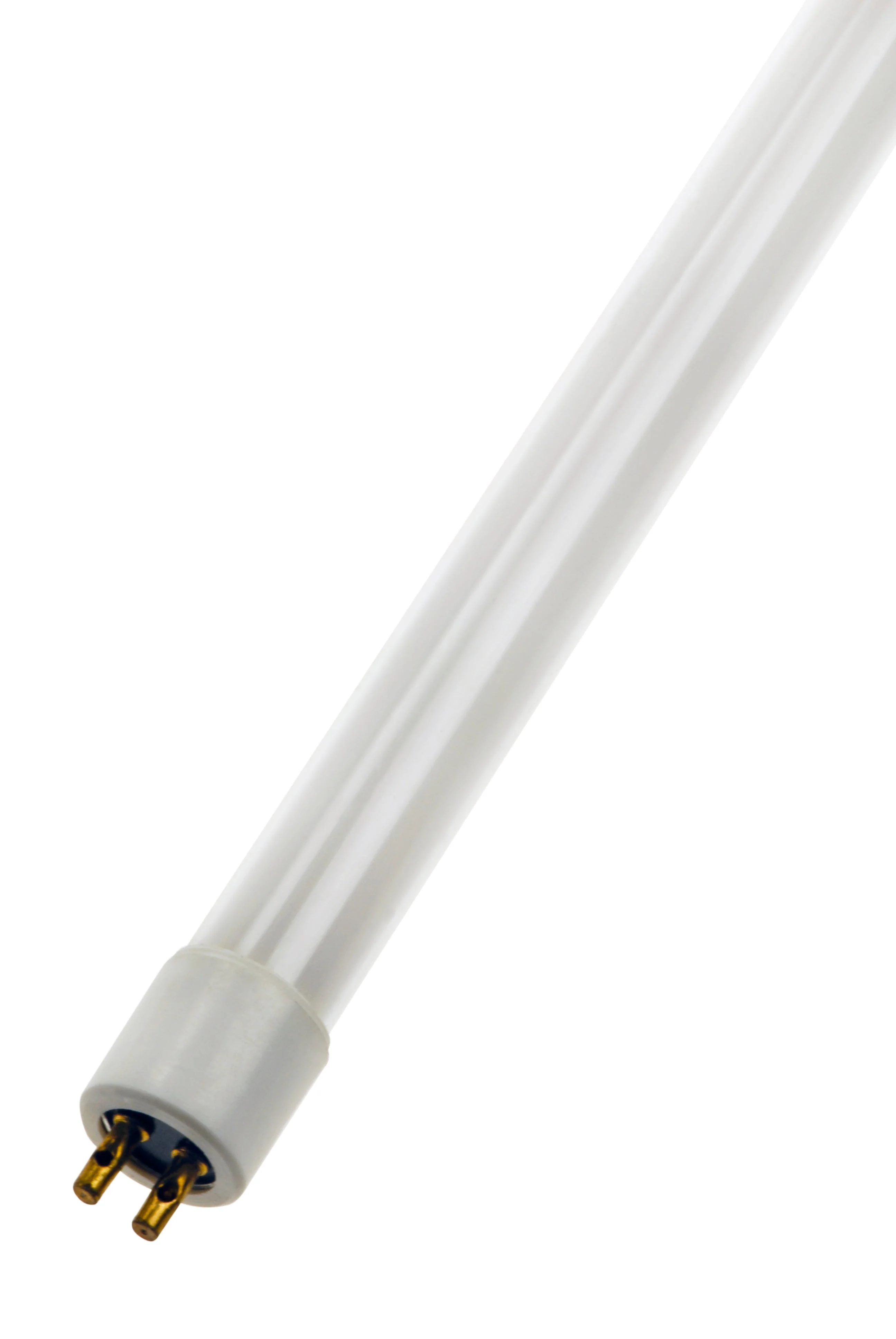 Bailey FTR20W842 - T4 20W/842 12X566 excl. pins Cool White