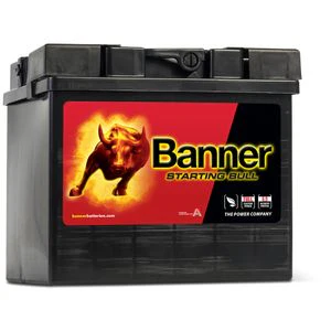 Banner 53034 CATERHAM CAR BATTERY 12V 30AH