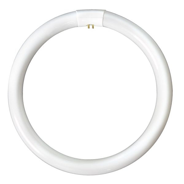 Bell 04191 32W T9 Triphosphor Circular Tube - 4 Pin, 3000K 2450lm G10q - DISCONTINUED