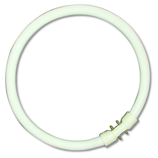 Bell 05469 60W T5 Circular Tube - 2GX13, 4000K 5000lm 2GX13