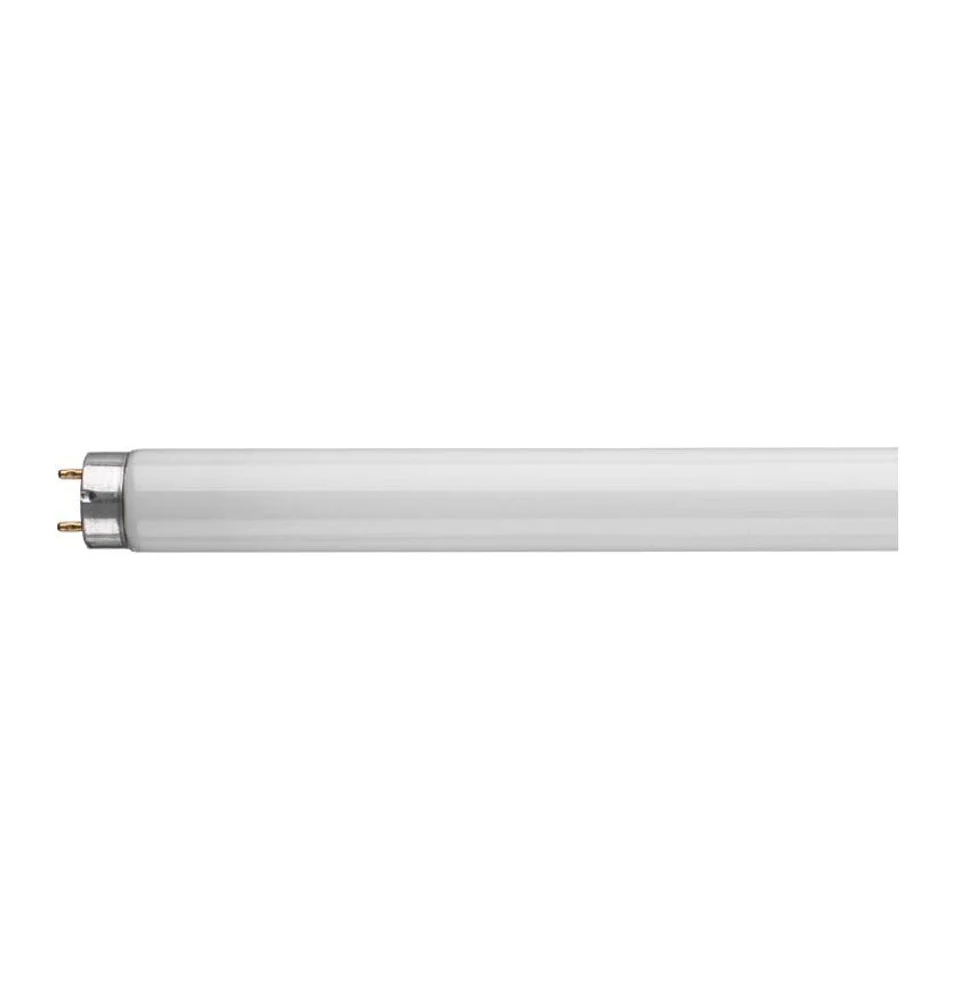 T8 18W T8 Tube Daylight Fluorescent Tube - DISCONTINUED