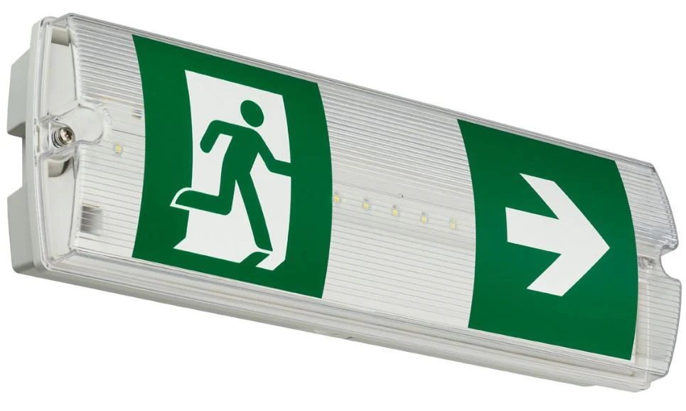 EcoLink LED Emergency Bulkhead 3W 150m 3HR Manual IP65