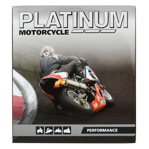Platinum B38-6A MOTORCYCLE BATTERY