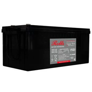 Rolls ROLLS R12-200AGM SERIES 2 12 VOLT DEEP CYCLE BATTERY