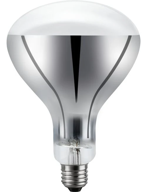 Schiefer E26 R120x150mm 220V 200W Clear 2500K Non-Dimmable - 418495200