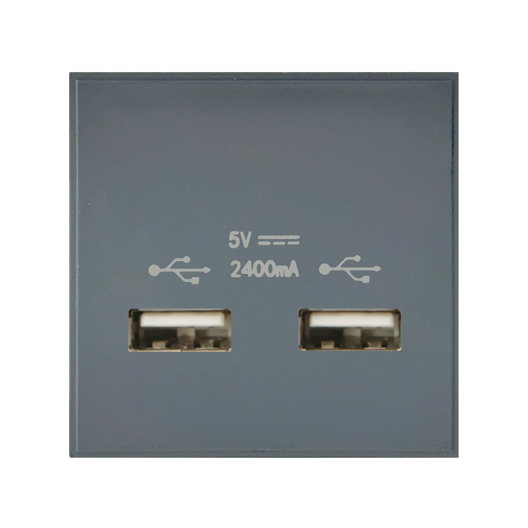Caradok 2G 2400mA USB Charger 50x50, Grey