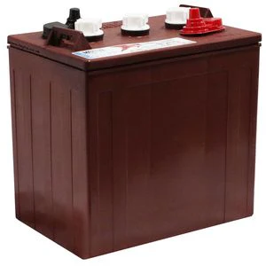 Trojan G-WIZ BATTERY